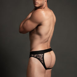 Lace Open Back Brief